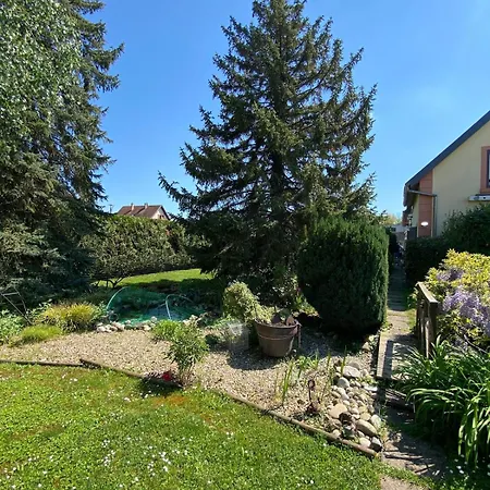 Cosy Avec Jardin Lejlighed Herrlisheim-près-Colmar